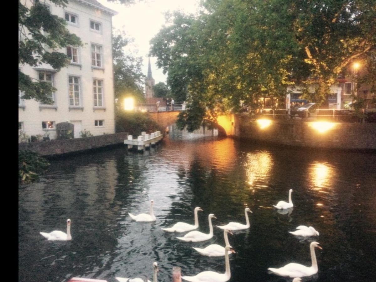 Canal Central Brygge Exteriör bild
